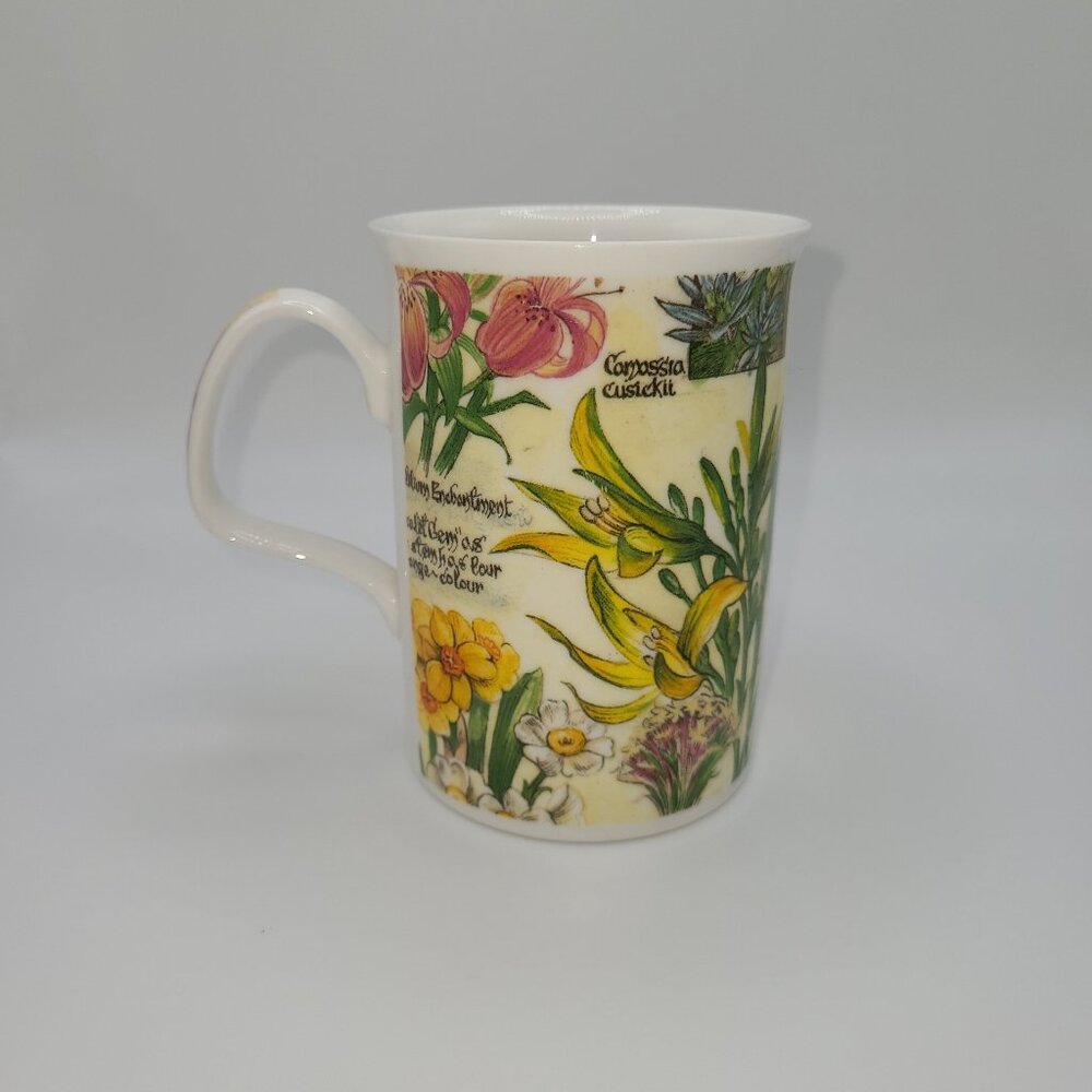 Roy Kirkham Secret Garden Tea Coffee Mug - Picture 2 of 6
